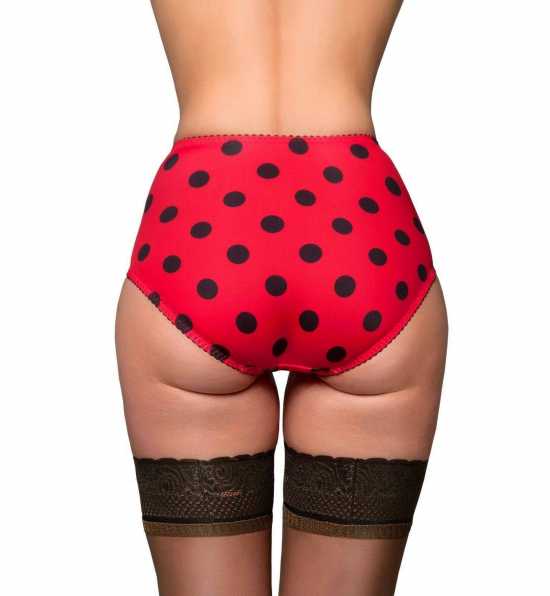 Nancies Lingerie 'Ladybird' Retro Style Polka Dot Lycra Comfort Briefs (NLdbsk)